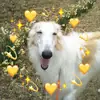 Стикер longnose style