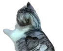 Стикер Long Komaru