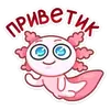 Лотти