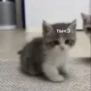 Стикер Любви