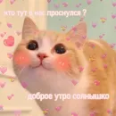 Стикер Любви