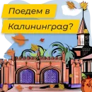 Стикер Полюбить Калининград
