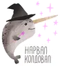 lovely narwhal