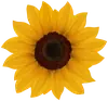 Стикер Bouquet