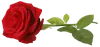 Стикер Bouquet
