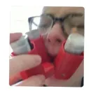 Стикер Лето в пионерском галстуке