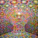 Стикер Shrooms