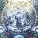 Стикер Shrooms