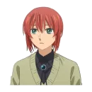 Стикер Невеста чародея