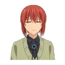 Стикер Невеста чародея