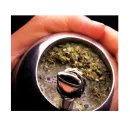 mate