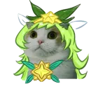 Стикер memecats