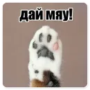 Стикер Мемесы