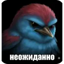Birds Memes