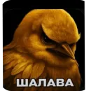 Стикер Birds Memes