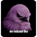 Стикер Birds Memes