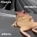 мемосяндры