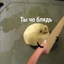 Стикер мемосяндры