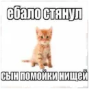 Стикер Memes