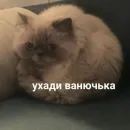 Мемы для АуТиСтОв