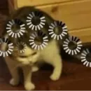 Стикер Мемы для АуТиСтОв