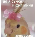 Стикер Мемы для АуТиСтОв