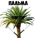 Стикер Мемы жизы