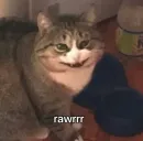 Стикер kucingnya dante