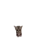 Стикер котики