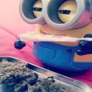 Minions
