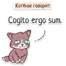 Стикер Забавныя звѣрьки
