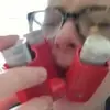 Can