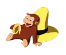 Обезьяны
