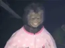 monkeys