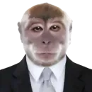 Стикер monkeys