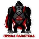 Стикер 12Monkiss