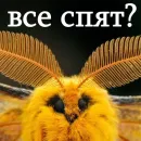 Стикер moooooths