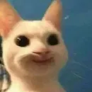 morrrrre