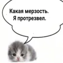 Стикер mos?