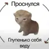 Стикер cats.mos?