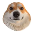 Маффин корги