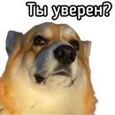 Стикер Маффин корги