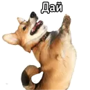Стикер Маффин корги