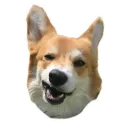 Стикер Маффин корги