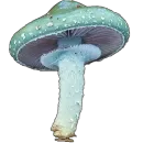 Стикер mushrooms