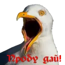 Стикер Мути добро