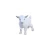 my aesthetic//;;напишу в октябре