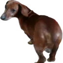 Стикер Всратый Филя