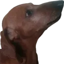 Стикер Всратый Филя