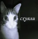 Стикер на рандом выбирал